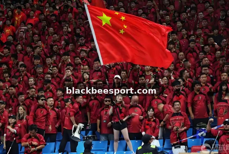 NBA伤停报告怎么读：从伤病名单到轮换影响的科普指南
